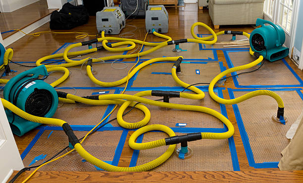 Professional Basement Flood Cleanup technician working in Viewtown, VA
